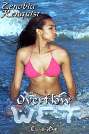 Cover - Overflow (Wet)